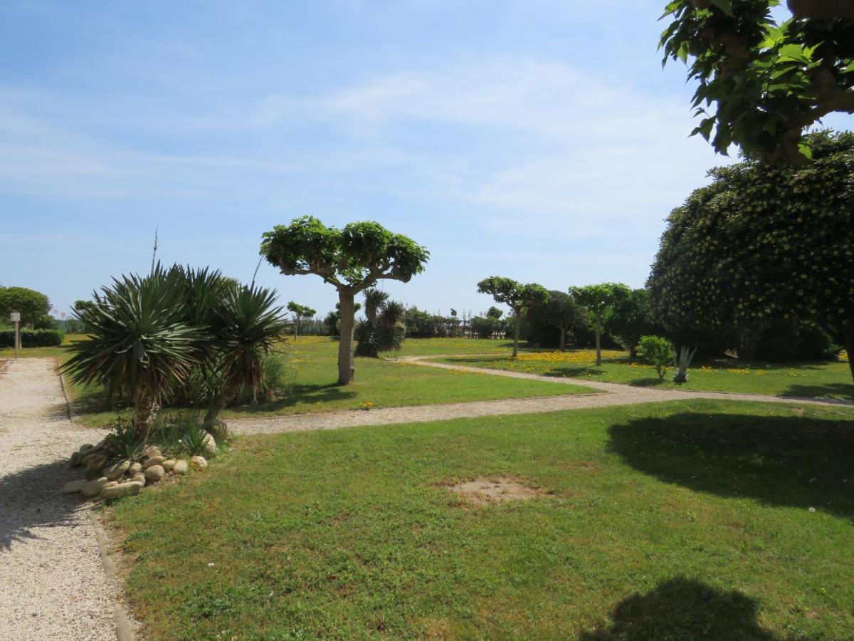 Ground Floor Studio With Access To Beach And Pool Le Barcarès Eksteriør billede